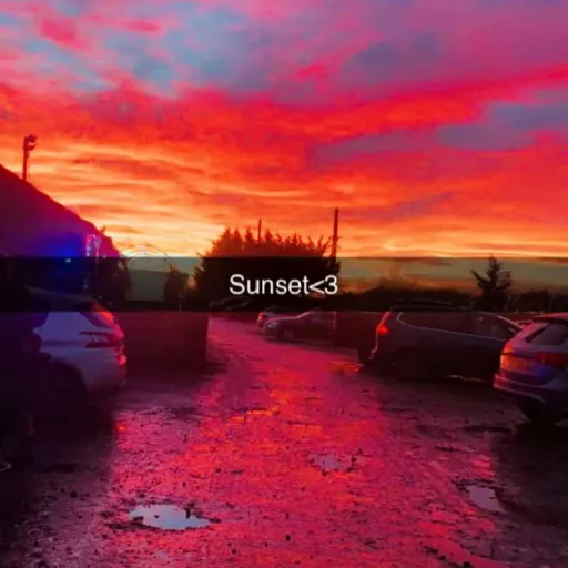 creator Kamila .'s avatar