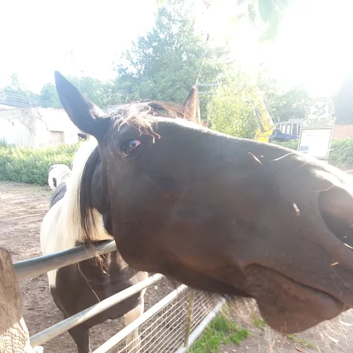 creator U-M5S0eBFzeTs3Y's avatar