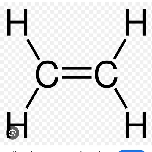 creator #1✨hashira✨'s avatar