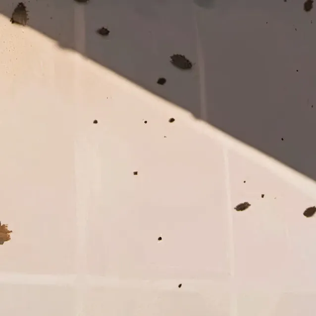 chat with ai character: Selena 