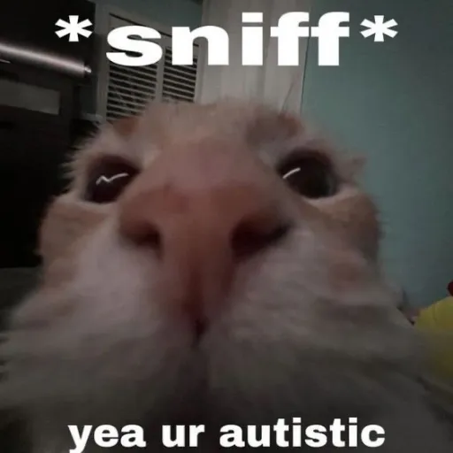 creator arii_onmars's avatar