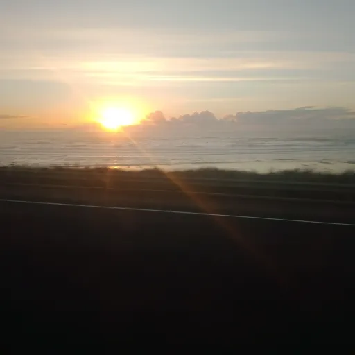 creator Lily pily's avatar