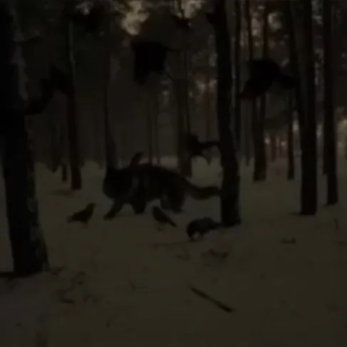 creator -📞-Dū$ťŶ-📞-'s avatar