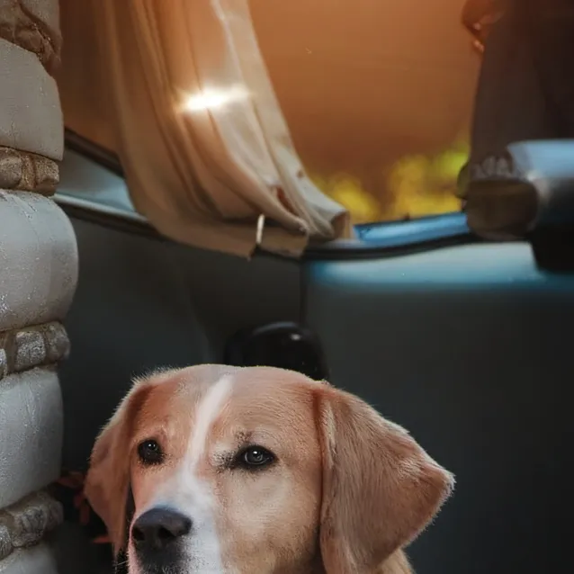 chat with ai character: cat nap💕💖