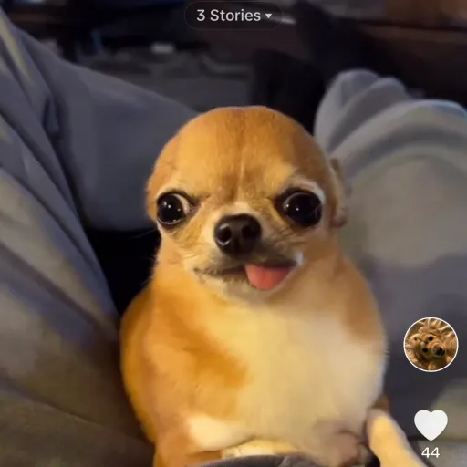 creator Addy222223344's avatar