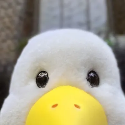 chat with ai character: Jane