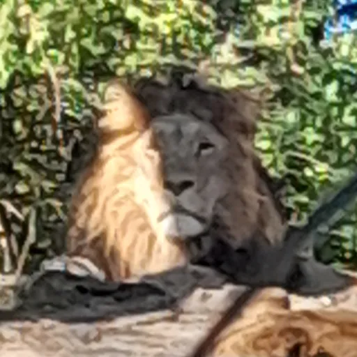 creator Cheesecakebowl's avatar