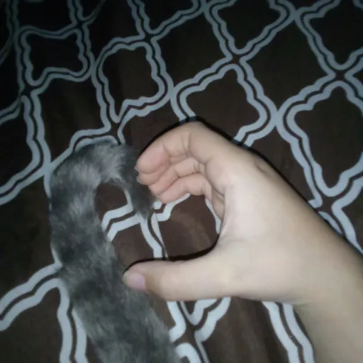 creator Talkior-wIUkqCra's avatar