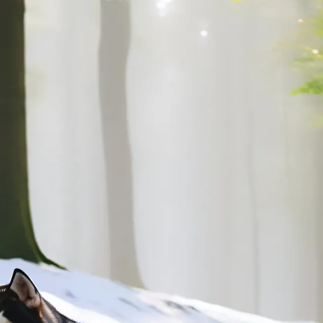 chat with ai character: Rivera