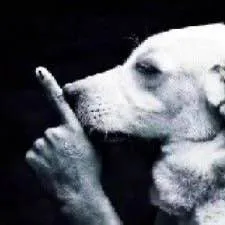 creator yourlocalbystander's avatar