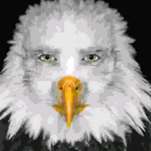 creator AlbusSnare's avatar