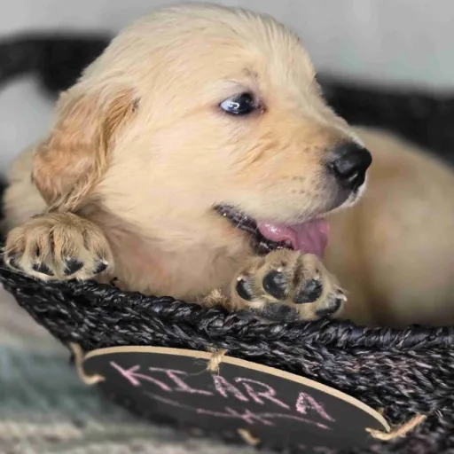 creator MARNIEslays's avatar