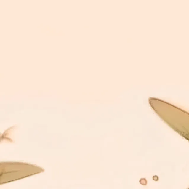 chat with ai character: Levi