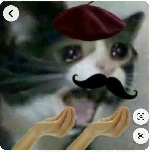 creator the-real-sero-simp's avatar