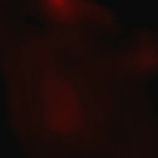 creator please follow me 🥺's avatar