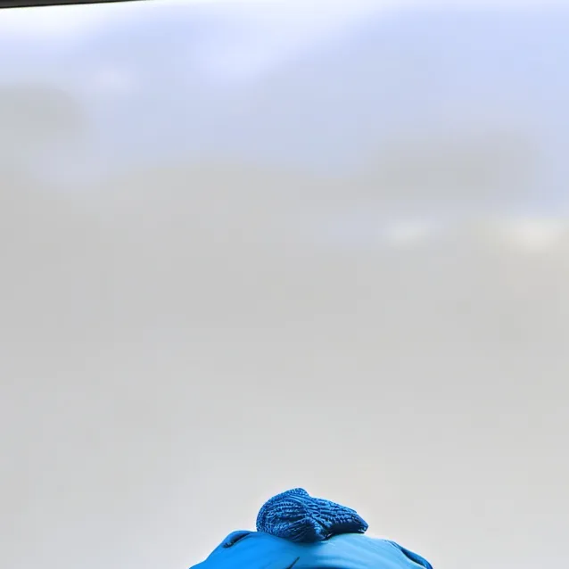 chat with ai character: Lysaurie Ocasio