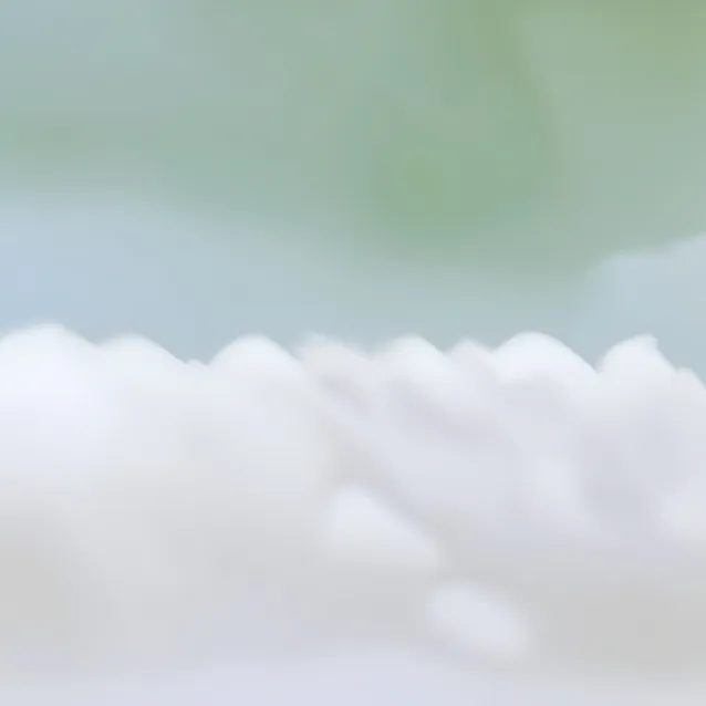 chat with ai character: CHP