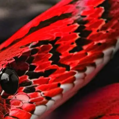 chat with ai character: MHA BIG THREE