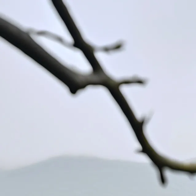 chat with ai character: random