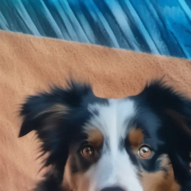 chat with ai character: ❤️Chachi boy❤️