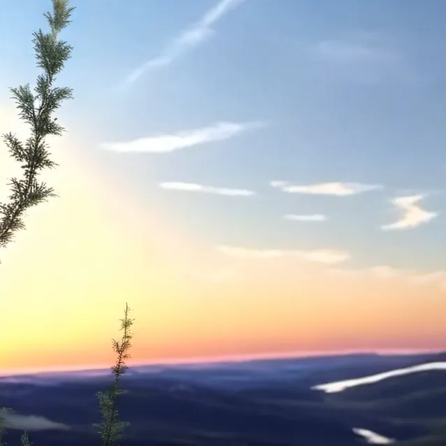 chat with ai character: .......,,,,,,,,,,.