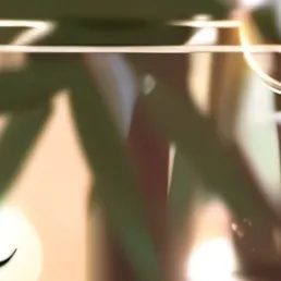 chat with ai character: Adam 