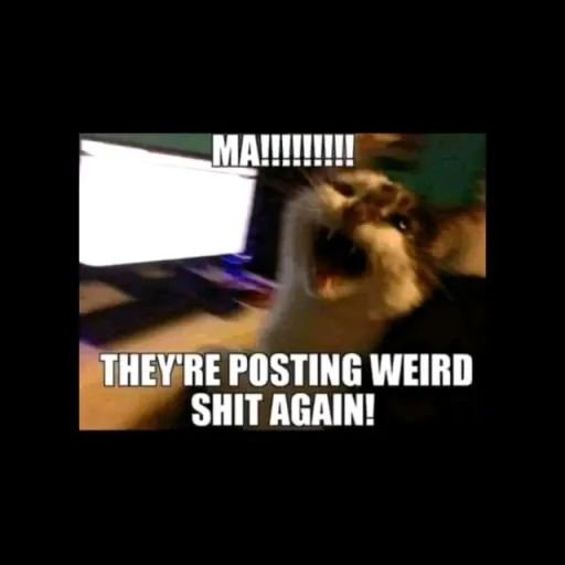 creator Cain Marla Gustke's avatar