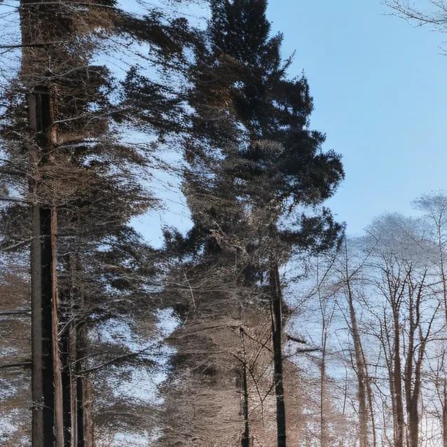 chat with ai character: mha figth 