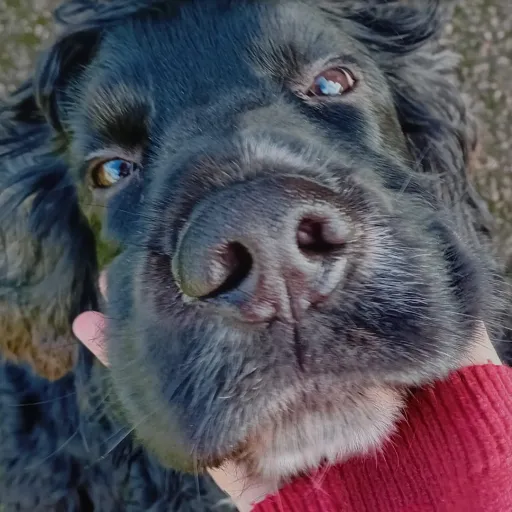 creator MarleyMai's avatar