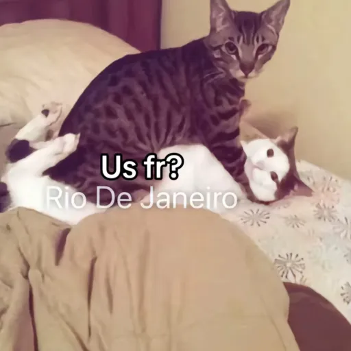 creator 🐝~Honey~🍯's avatar