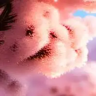 chat with ai character: Roommate