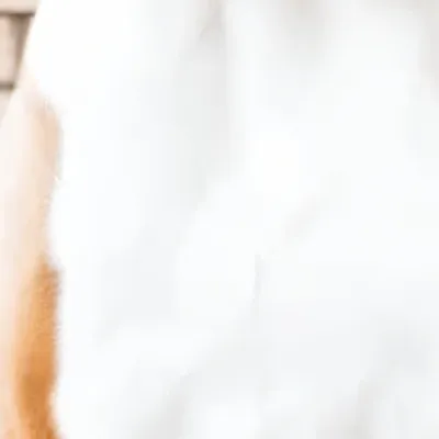 chat with ai character: Reggie