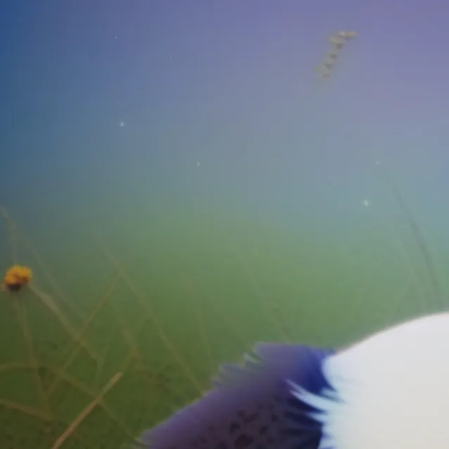 chat with ai character: cup