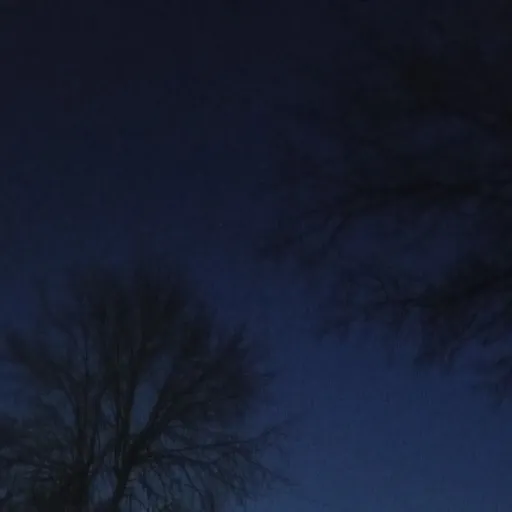 creator the night squad's avatar