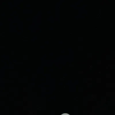 chat with ai character: Leo