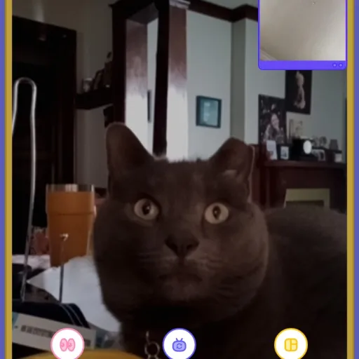 talkie's author avatar