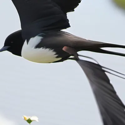 chat with ai character: Bin