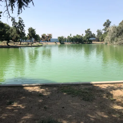 creator ~Damian~'s avatar