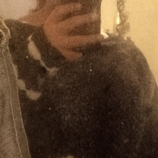 creator Decembers's avatar