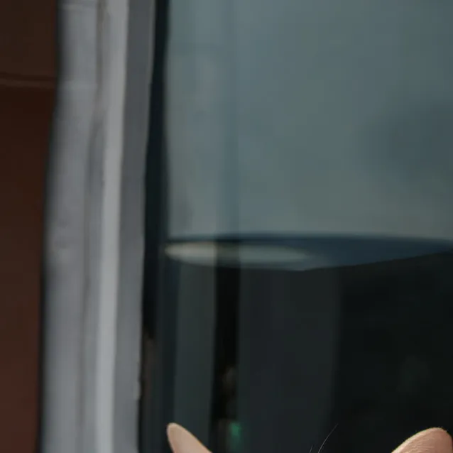 chat with ai character: b****