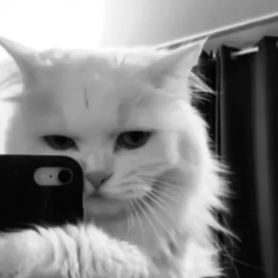 creator *restskko*'s avatar