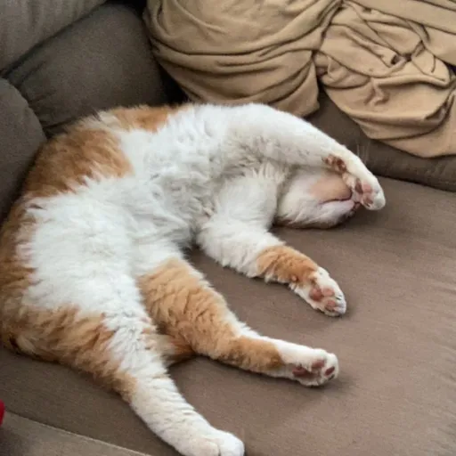 creator 🎧Ezra🎧's avatar