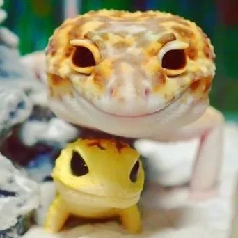 creator Vivian_?😑?!'s avatar