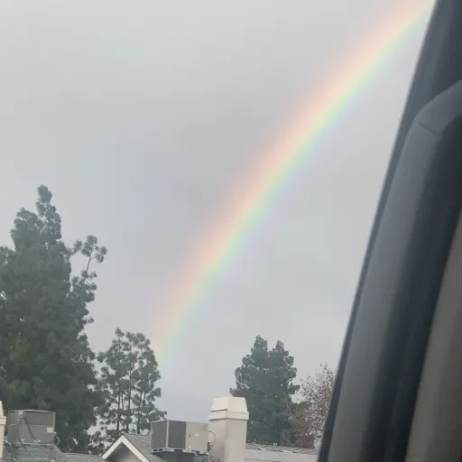 creator Moshaa's avatar