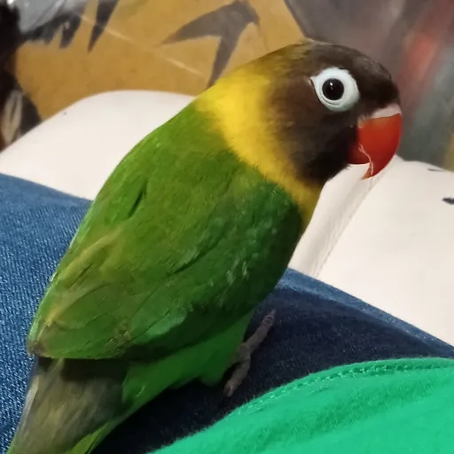 creator @Emi_94's avatar