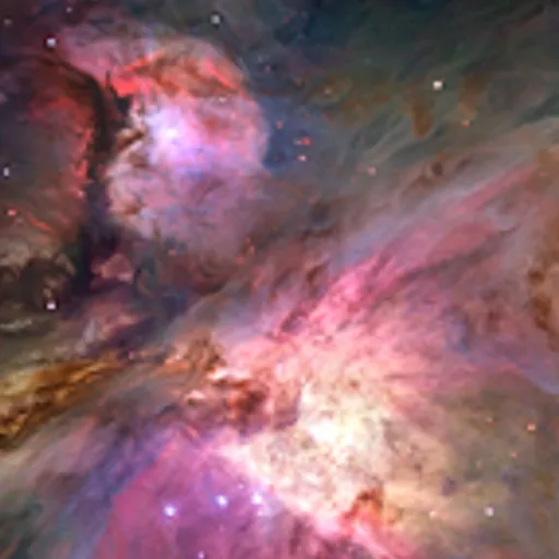 creator Phoenix fly's avatar