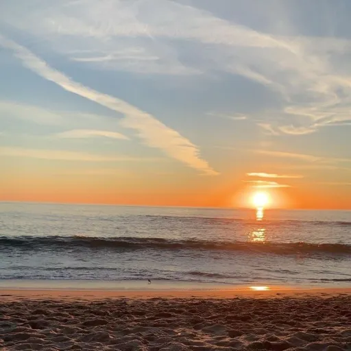 creator $#August #$'s avatar