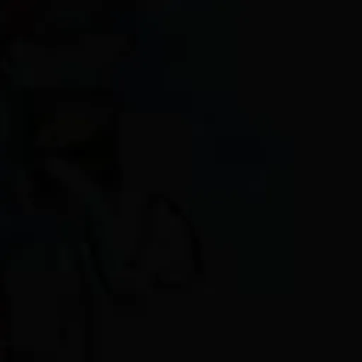 creator ……………no's avatar