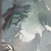 chat with ai character: Wilson j. James