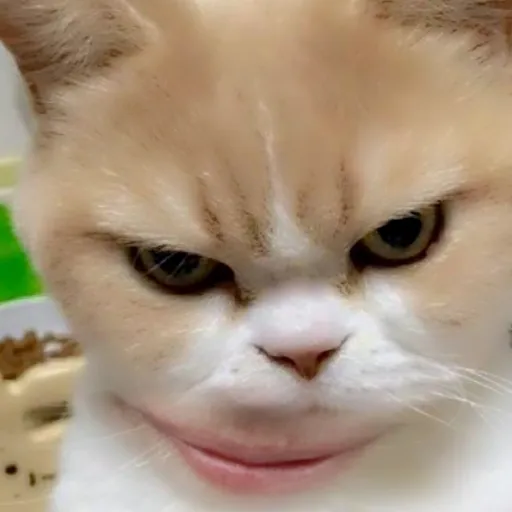 creator kanglim choi's avatar